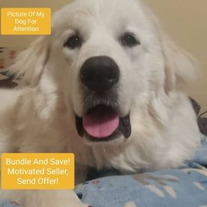 Bundle And Save! Send Offer!